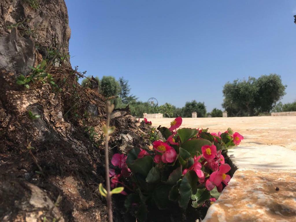 Trulli Da Lalli Ostuni Luaran gambar
